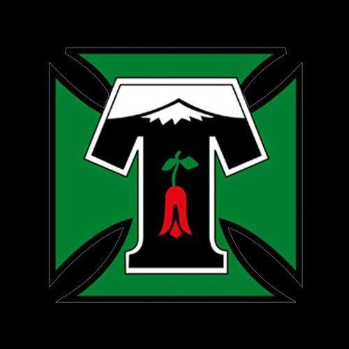 Deportes Temuco