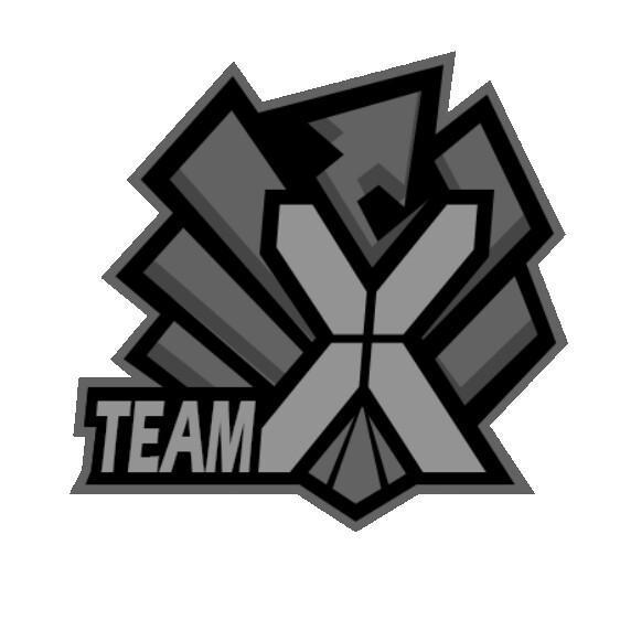 Team PhoeniX 🇨🇳