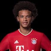 Sane