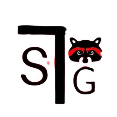 TSG E-SPORTS