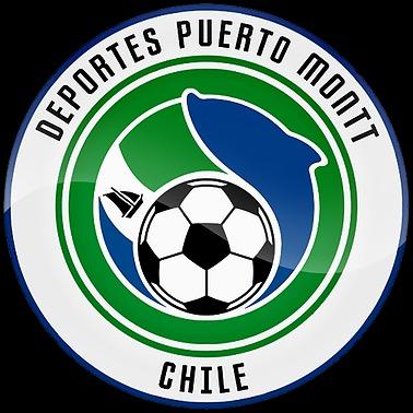 D Puerto Montt