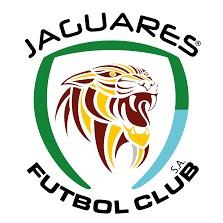 Jaguares