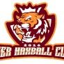 Tiger Haxball Club