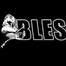 Bless Da Mic
