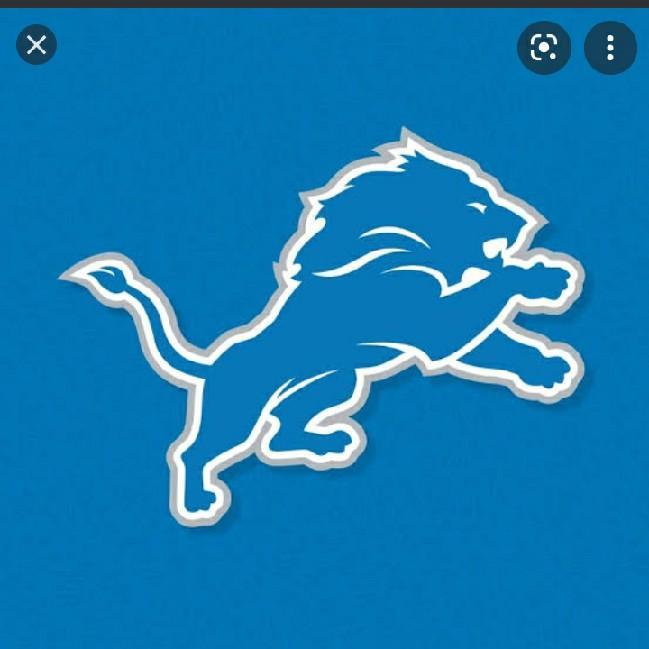 Detroit Lions