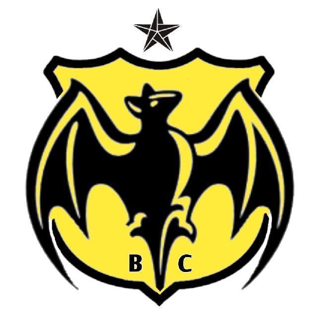 Black Chiroptera