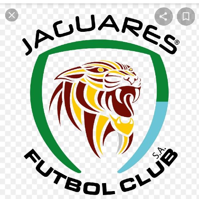 Jaguares
