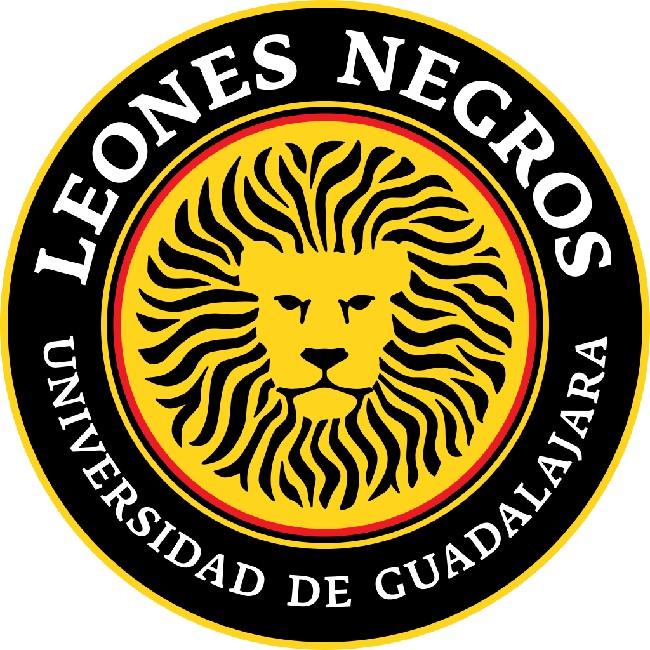 LEONES NEGROS