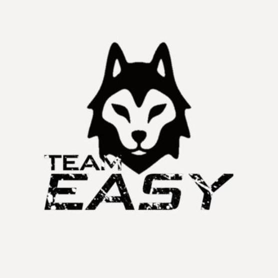 TEAM EASY