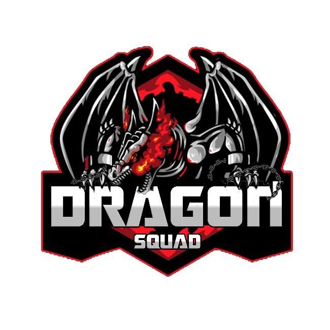 Dragon Squad Gaming