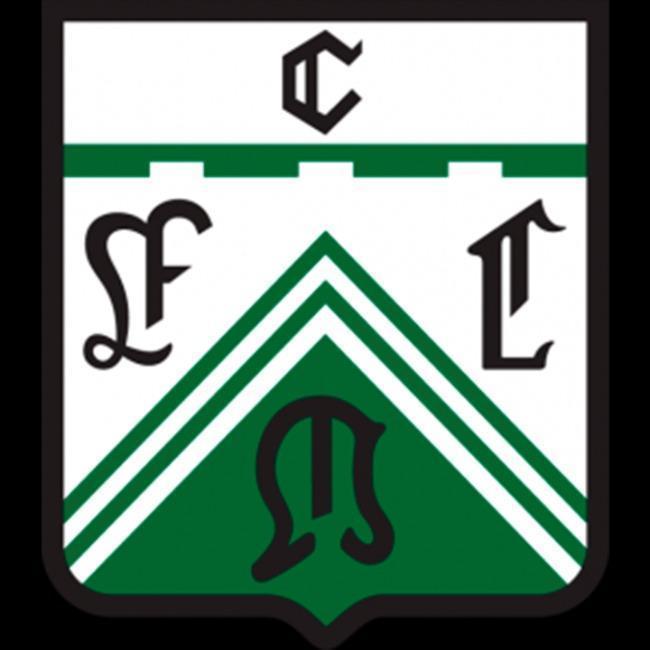 Ferro de Merlo