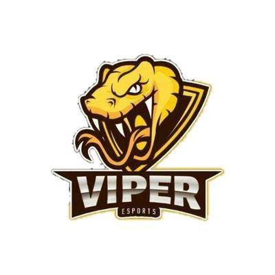 Viper Esports