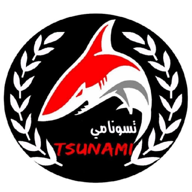 تسونامي