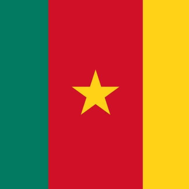 CAMERUN 🇨🇲