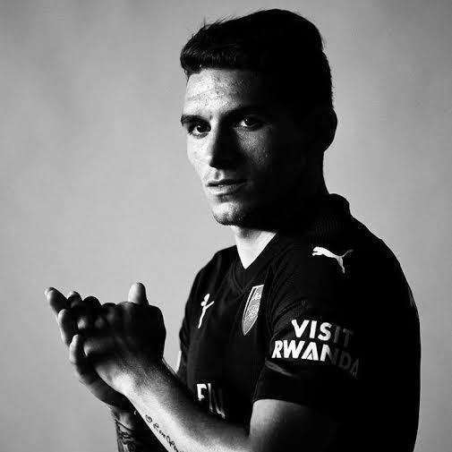 Torreira