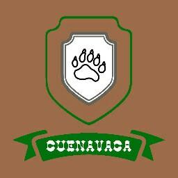Osos Cuernavaca