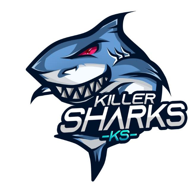 KS Esports