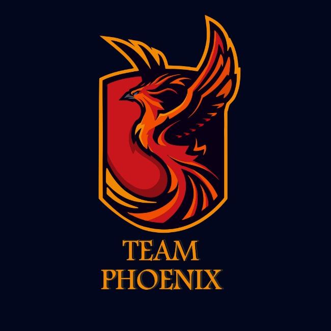 XTREINO TEAM PHOENIX - JULHO