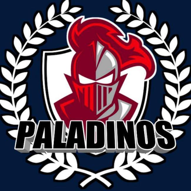 BS PALADINOS