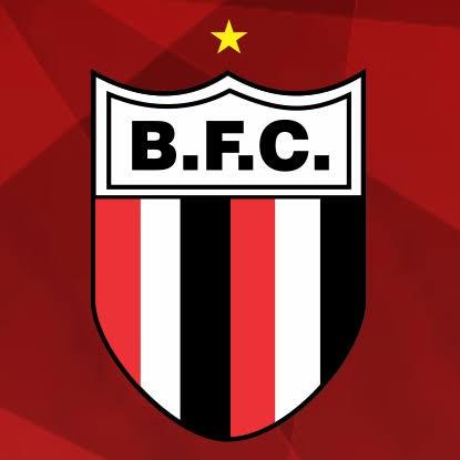 Tubarão fiel