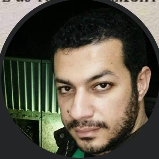 Hany Elrmady
