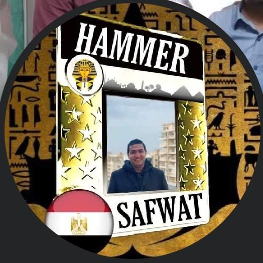 Mohamed Mostafa Safwat