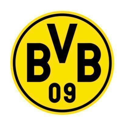 🇩🇪 Borussia Dortmund