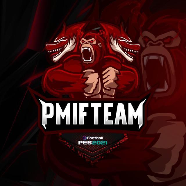 PMIF TEAM