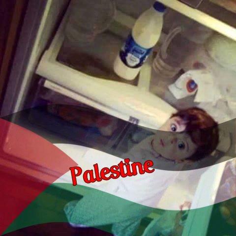 Mohamed Lamine Khalifa(Dz)