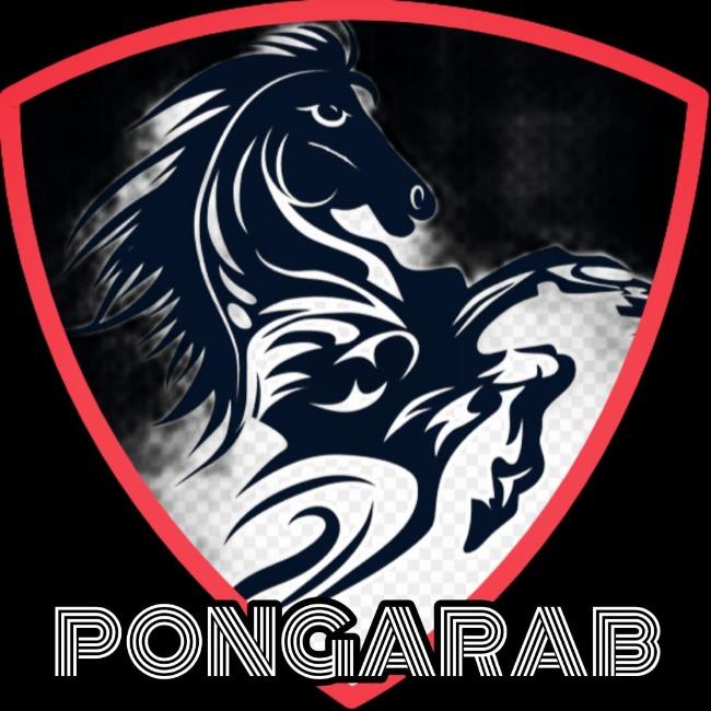 Psg.pongarab fc