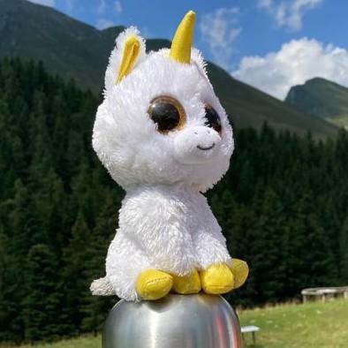 Gimmy l'unicorno