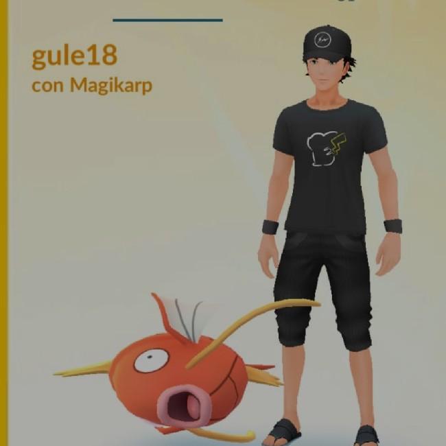 Gule18