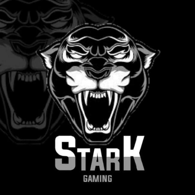 STARK GAMING