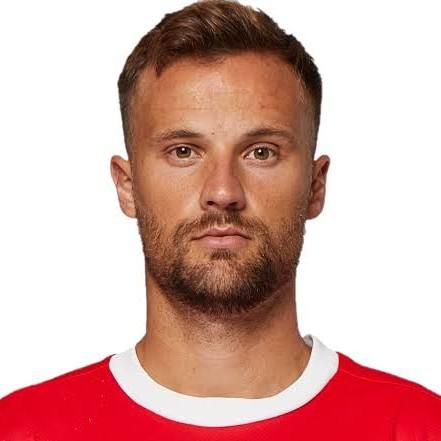 H. Seferovic
