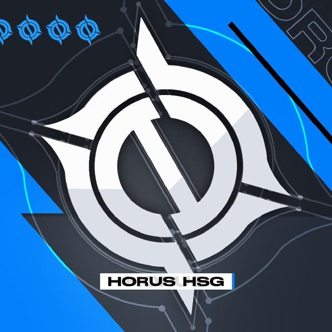 HSG
