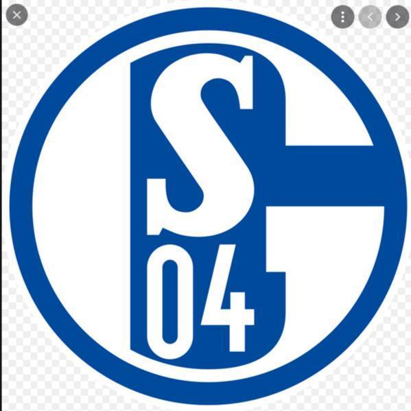 Shalke04