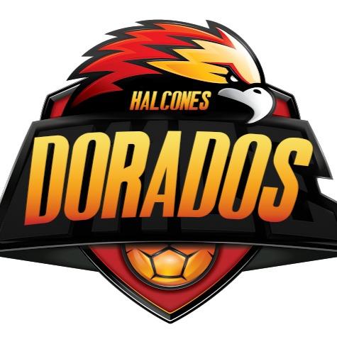 Halcones Dorados
