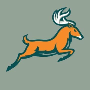 Portland Stags
