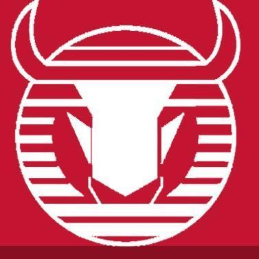 Toros neza
