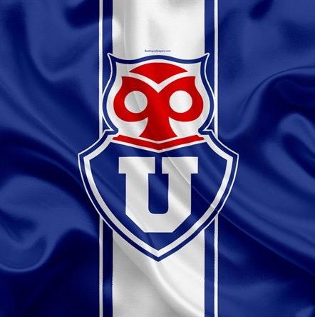 Universidad De Chile