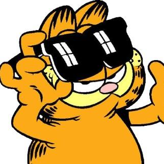 Team Garfield