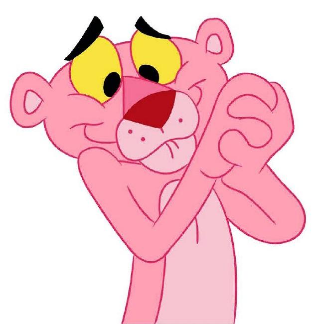Team Pink Panther