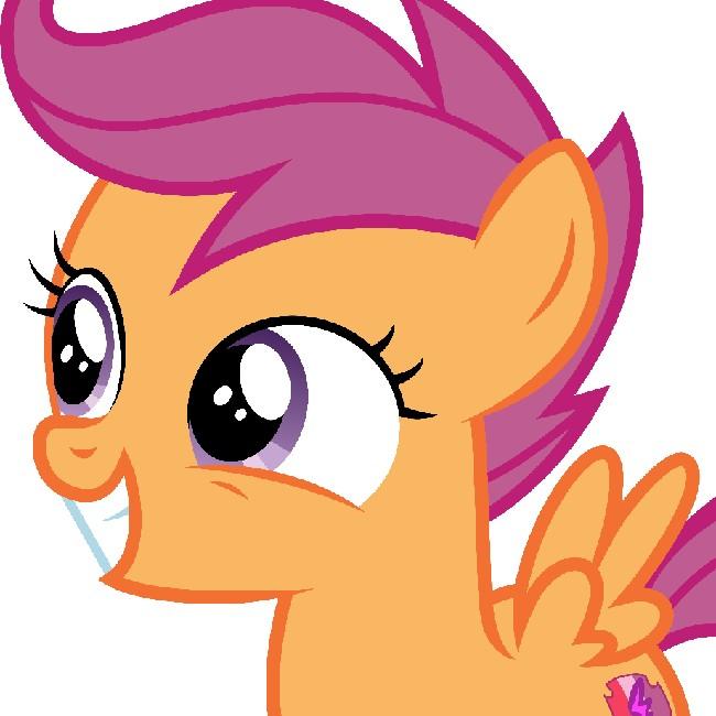 Team Scootaloo