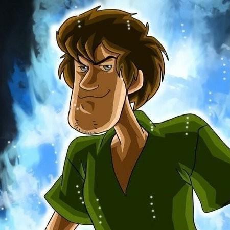 Team Shaggy Rogers