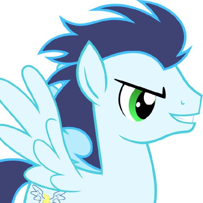 Team Soarin