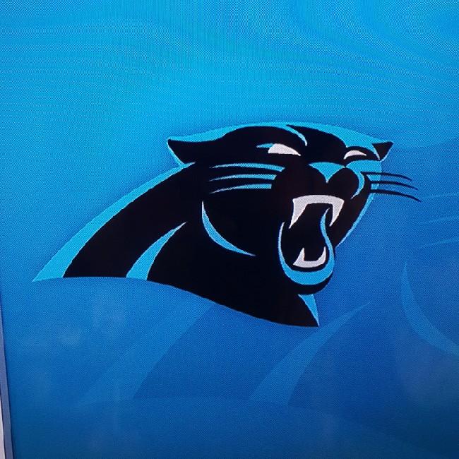 Carolina Panthers