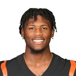 Tee Higgins