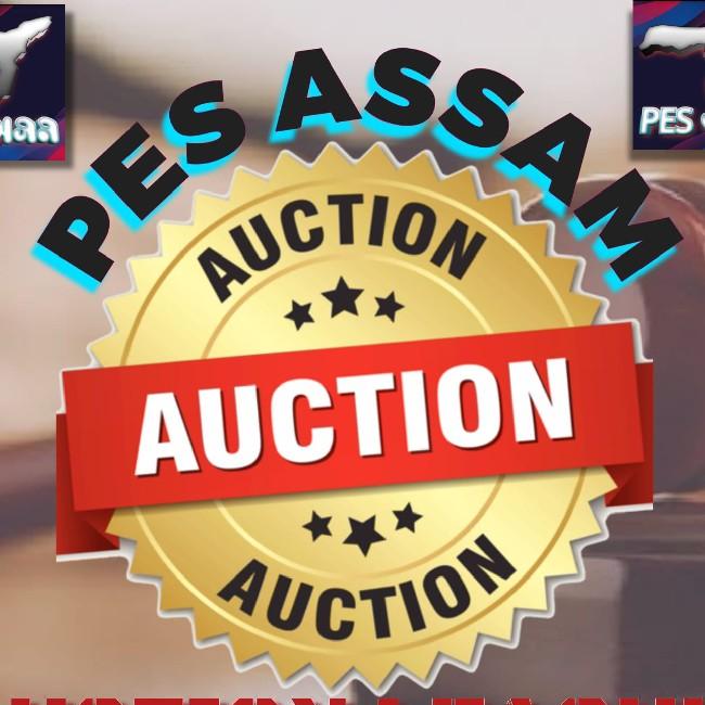 PES ASSAM AUCTION LEAGUE