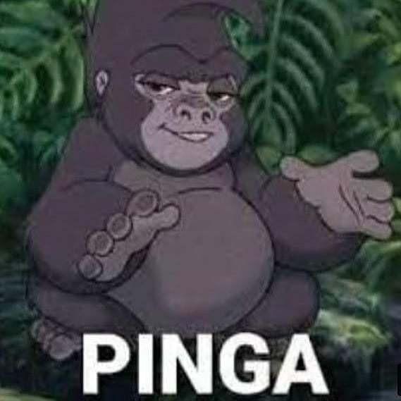Pinga