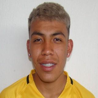 Brayan Josué Flores Torres